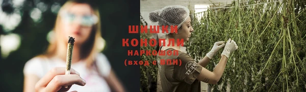трава Дмитриев