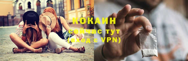 кокс Елизово