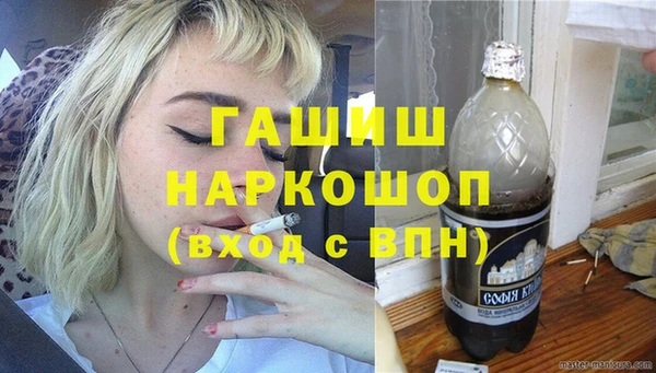 гашик Ельня