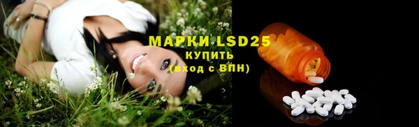 гашик Ельня