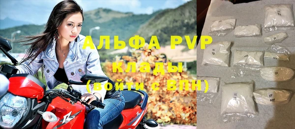 гашик Ельня
