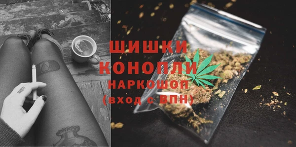 гашик Ельня