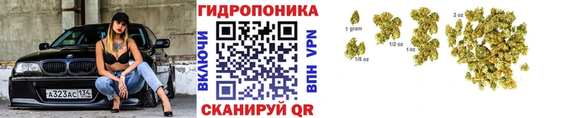 Каннабис Ganja Ивдель